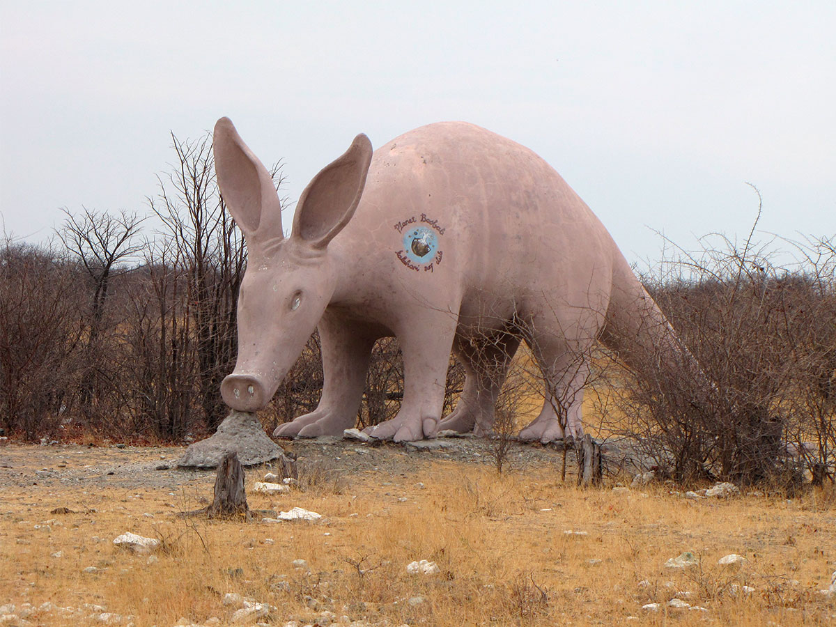 The Botswanan giant aardvark